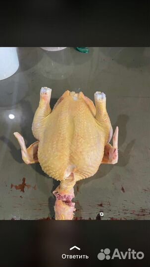 Куры бройлеры тушки мясо