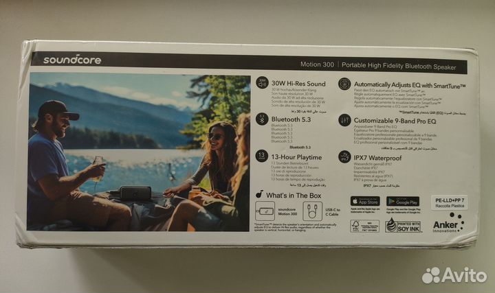 Anker Saundcore Motion 300 колонка беспроводная
