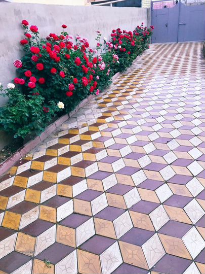 Дом 76 м² на участке 10 сот.