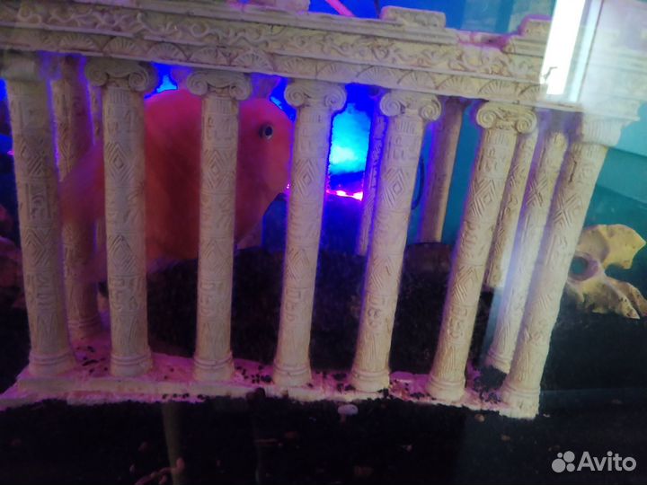 Аквариум с тумбой