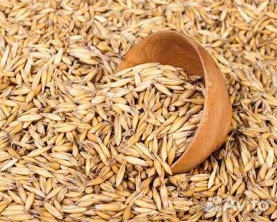 Овёс в мешках