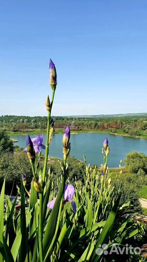 Аренда беседки