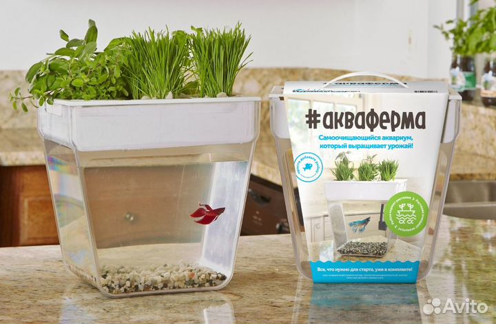 Аквариум Аква-ферма (Aqua Farm)