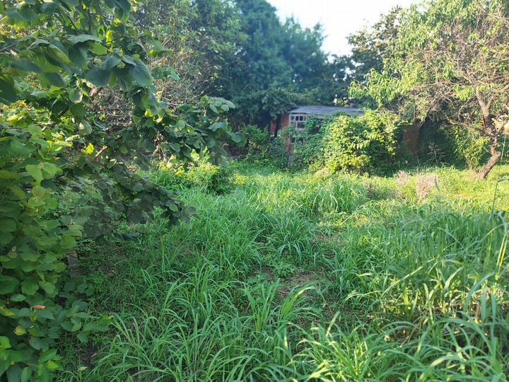 Участок 5,4 сот. (СНТ, ДНП)