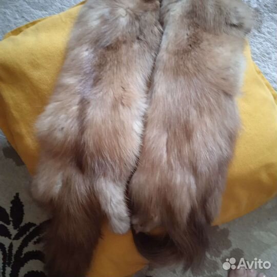 Шкурки куницы