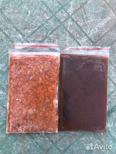 Корма для аквариумных и прудовых рыб