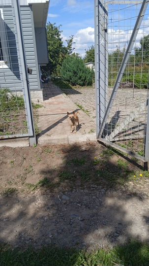 Дача 70 м² на участке 10 сот.