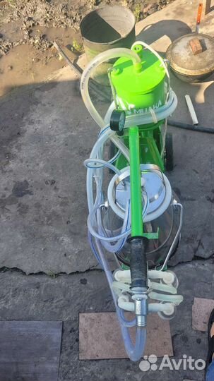 Доильный аппарат для коров