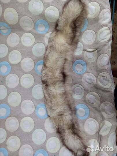 Меховой воротник песец торг