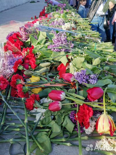 Алина. Экскурсии, Волгоград