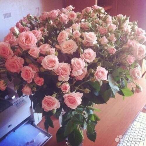 Цветы розы букет