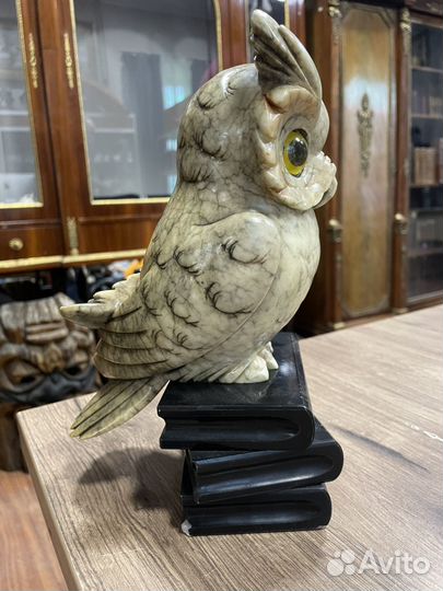 Мраморная сова