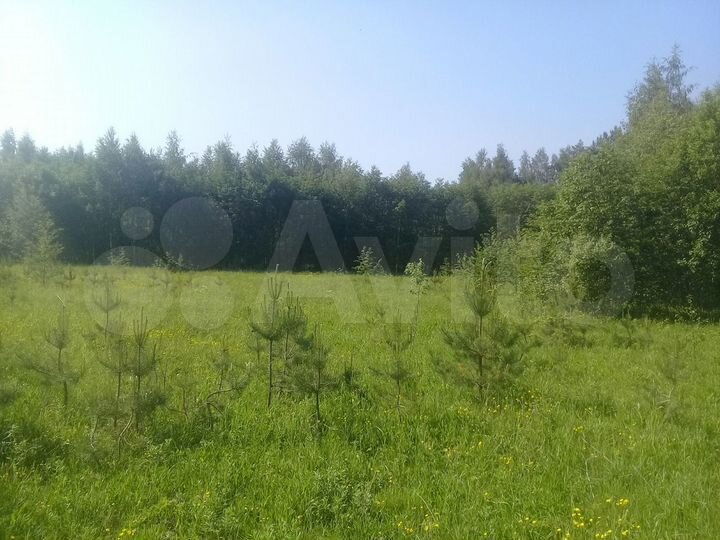 Участок 21 га (СНТ, ДНП)