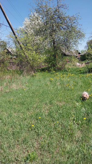 Дом 58,1 м² на участке 15 сот.