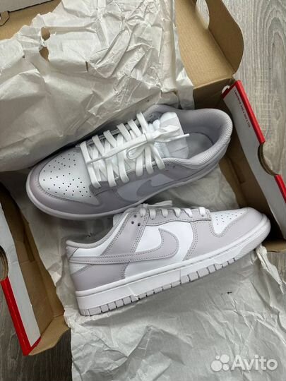 Nike Dunk Low Venice