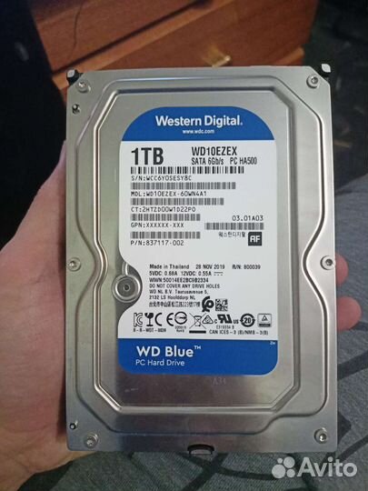 Жесткий диск 1 тб WD blue