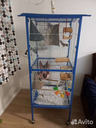 Клетка большая