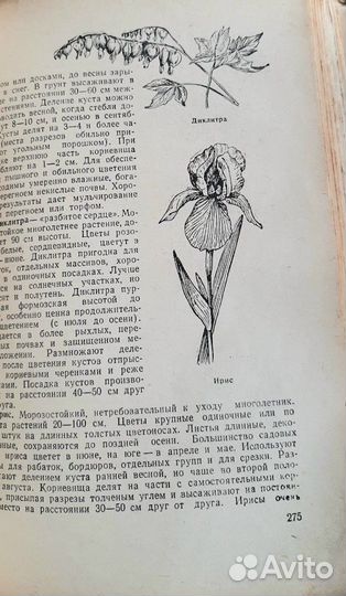 Календарь справочник садовода. ред. Колесников В.А