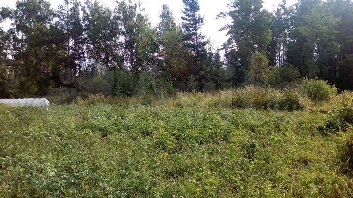 Участок 12 сот. (СНТ, ДНП)