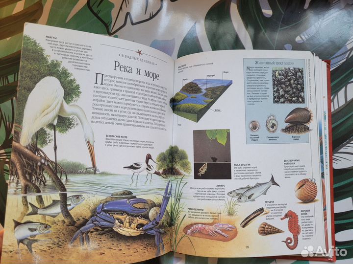 Книга детская энциклопедия самых умных Канделаки