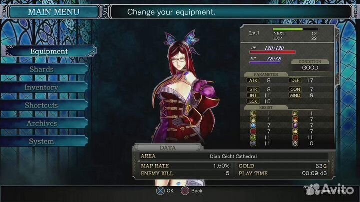 Игра Bloodstained: Ritual of the Night (PS4