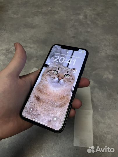 iPhone X, 256 ГБ