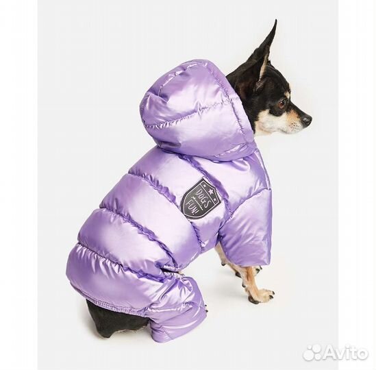 Одежда для маленьких собак