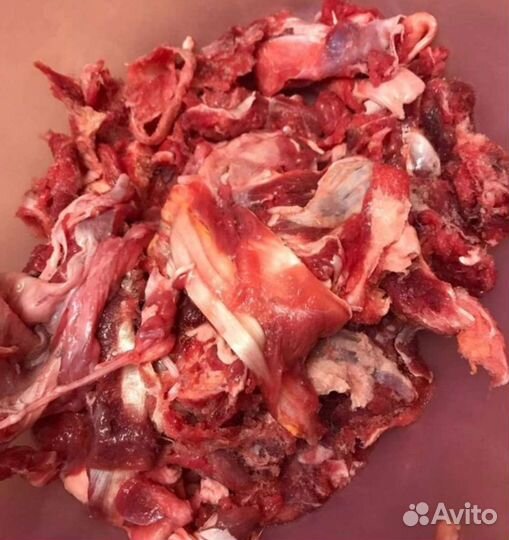 Мясо для собак Белгород