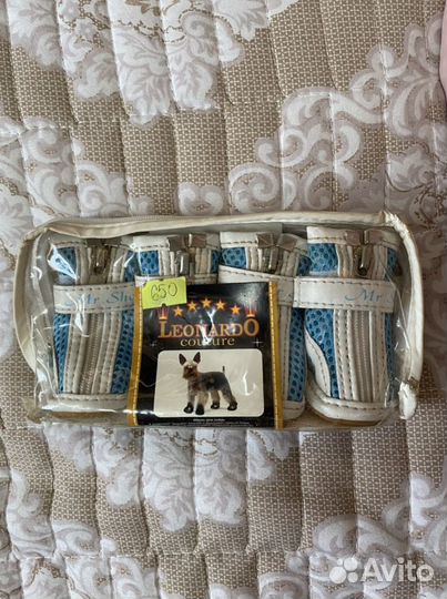 Одежда для маленьких собак