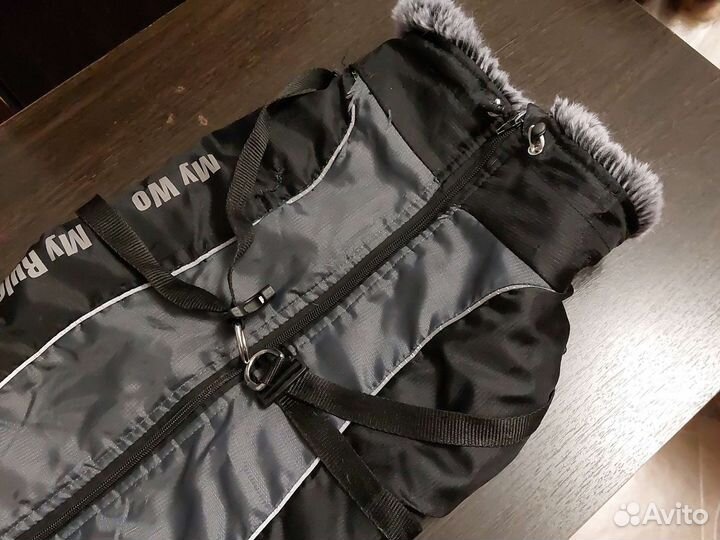 Попона для собаки