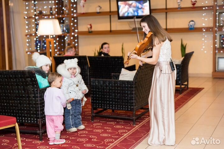Скрипачка на праздники