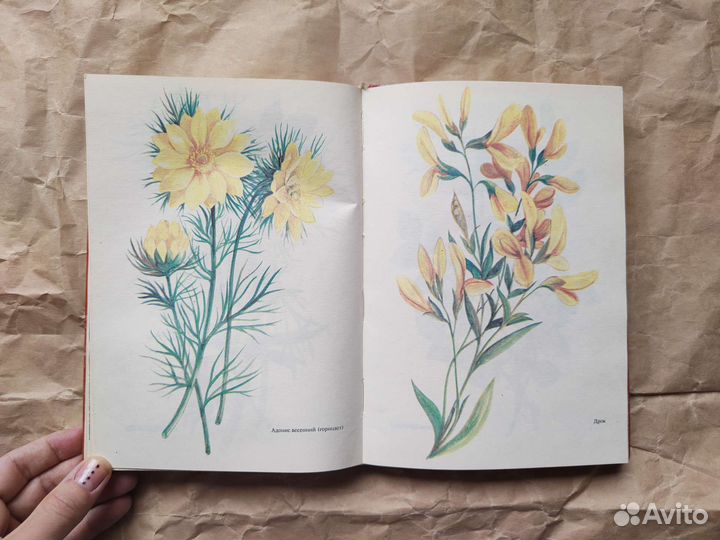 Красная книга растений и животных