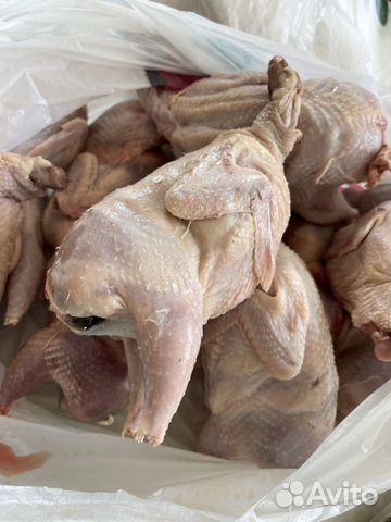 Мясо Перепелок Яйца Перепелинные