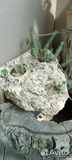 Кашпо садовое из натурального камня