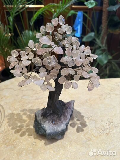 Дерево из камня