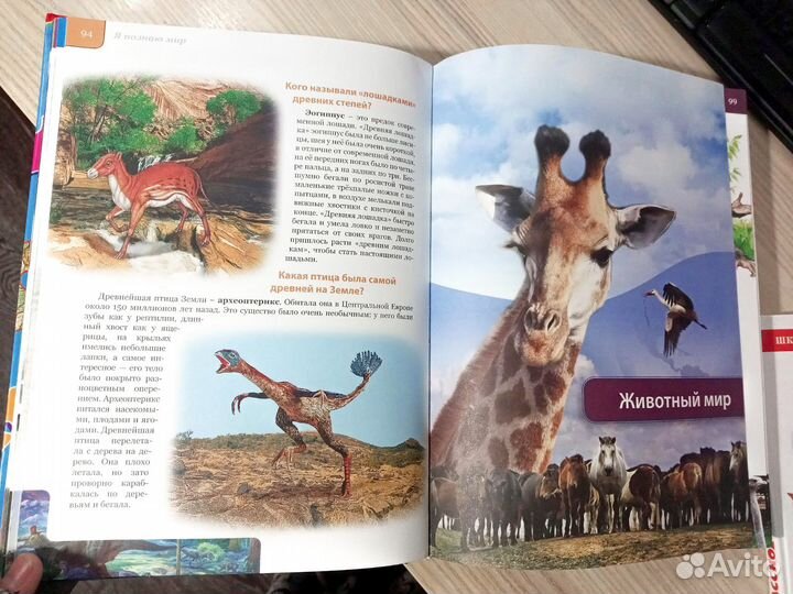 Детская Энциклопедия 