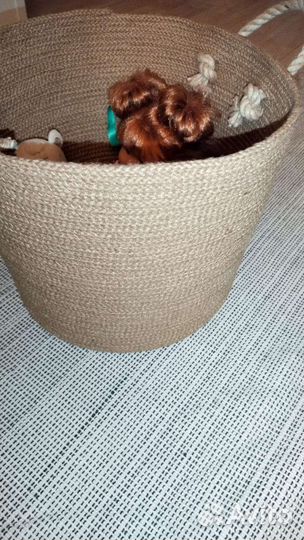 Корзина для хранения