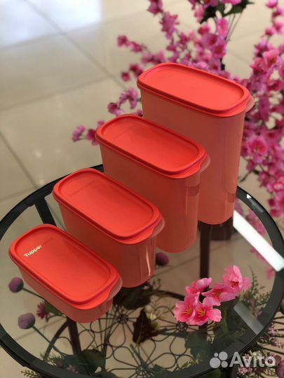 Tupperware компактус