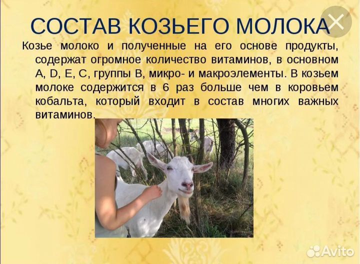 Козье молоко