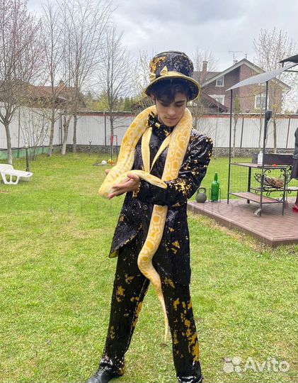 Аниматор с экзотическими животными ведущий