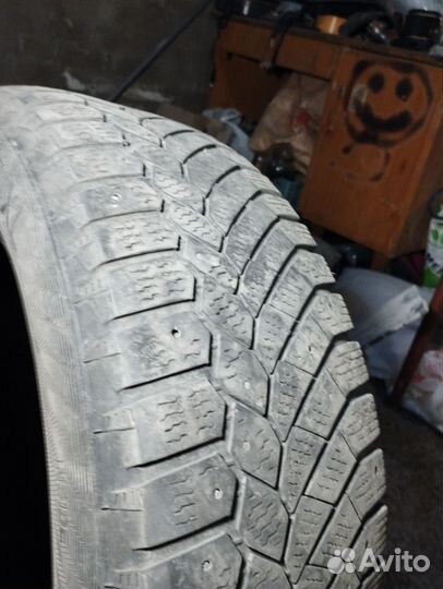 Gislaved Nord Frost 200 195/65 R15 95T