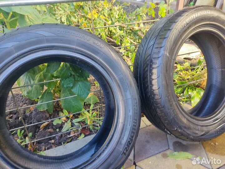 Yokohama Advan Sport V105 205/55 R16 и 205/60 R16