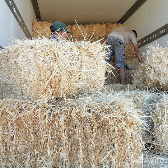 Сено, солома опт/розница