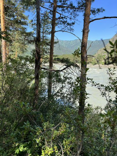 Участок 100 сот. (СНТ, ДНП)