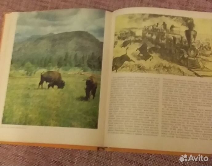 У.Зедлаг Животный мир Земли