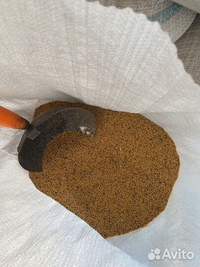 Семена горчицы