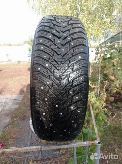 Nordman 8 205/60 R16