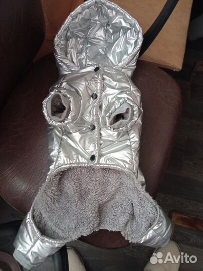 Комбинезон для маленькой собаки мальчик