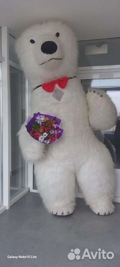 Белый Мишка, Рыжий Котик, Зайка