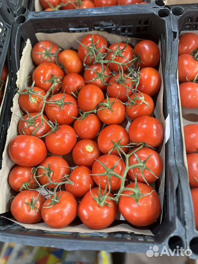 Помидор ветка